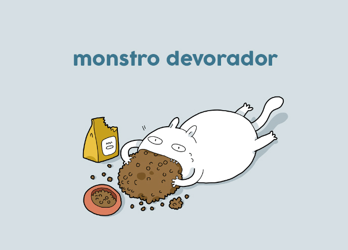 tipos de gatos